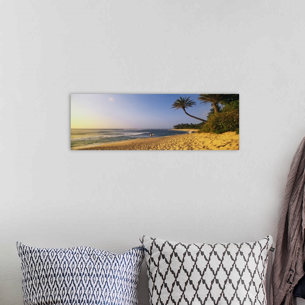 A bohemian room featuring Panoramic photograph of shoreline with shrubbery and palm trees at dusk.