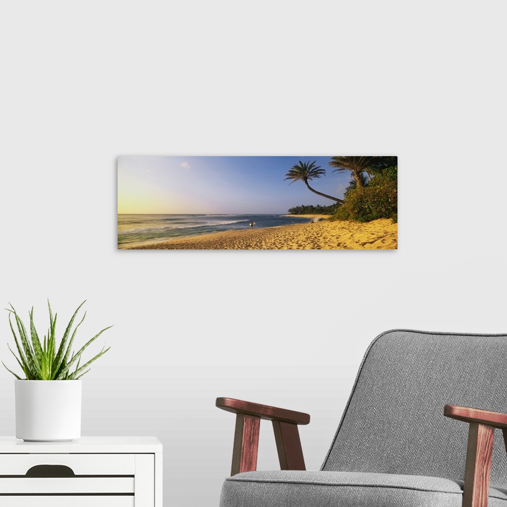 A modern room featuring Panoramic photograph of shoreline with shrubbery and palm trees at dusk.
