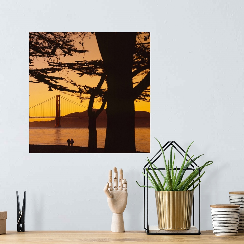 A bohemian room featuring This large piece is a photograph taken from behind a tree that has been silhouetted by the sunset...