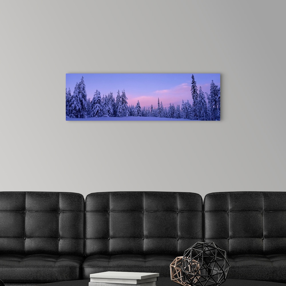 A modern room featuring Sweden, Dalarna , forest, winter