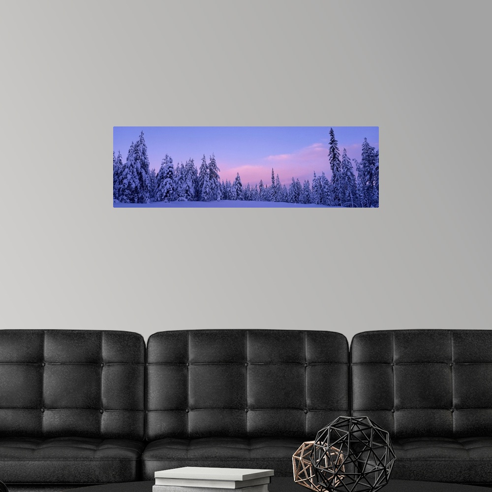 A modern room featuring Sweden, Dalarna , forest, winter