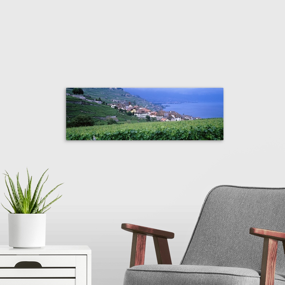 A modern room featuring Switzerland, Rivaz, vineyards