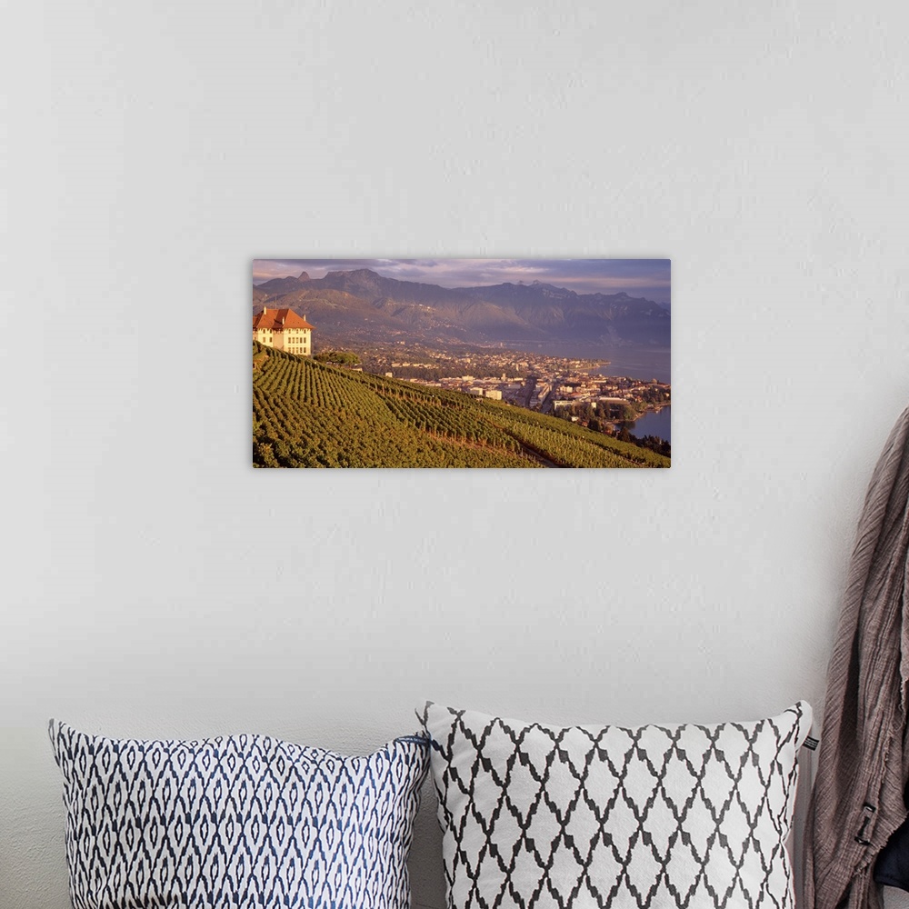 A bohemian room featuring Landscape photograph on a big canvas of a large vineyard on a sloping hill, the town of Vevey can...