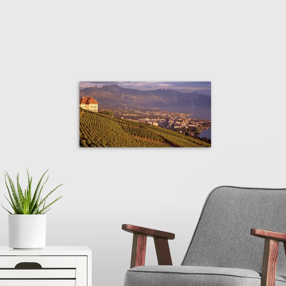 A modern room featuring Landscape photograph on a big canvas of a large vineyard on a sloping hill, the town of Vevey can...