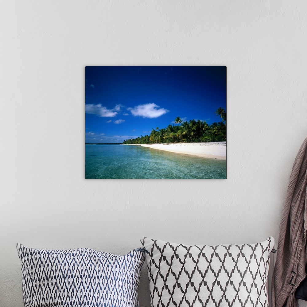 A bohemian room featuring Big photo on canvas of a peaceful beach with calm water and a forest of palm trees.
