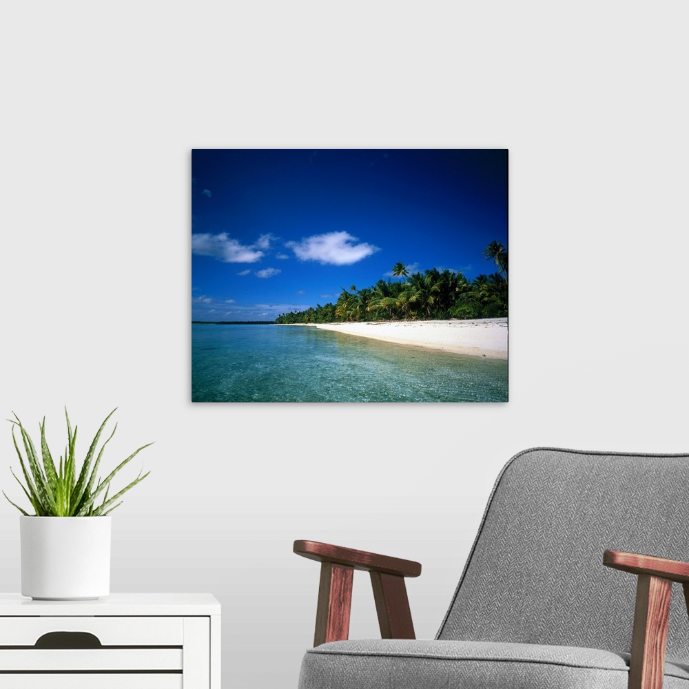 A modern room featuring Big photo on canvas of a peaceful beach with calm water and a forest of palm trees.