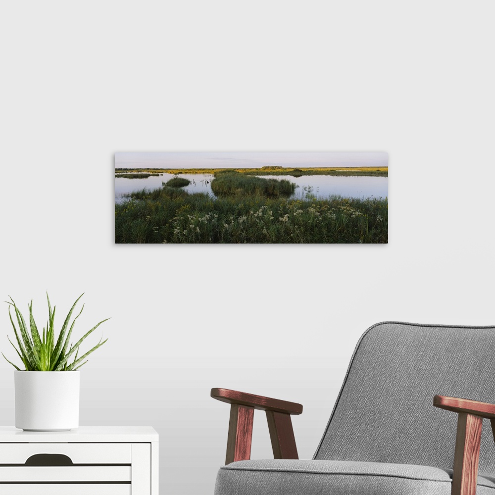 A modern room featuring Tall grass along a pond on a landscape, Crex Meadows Wildlife Refuge, Wisconsin