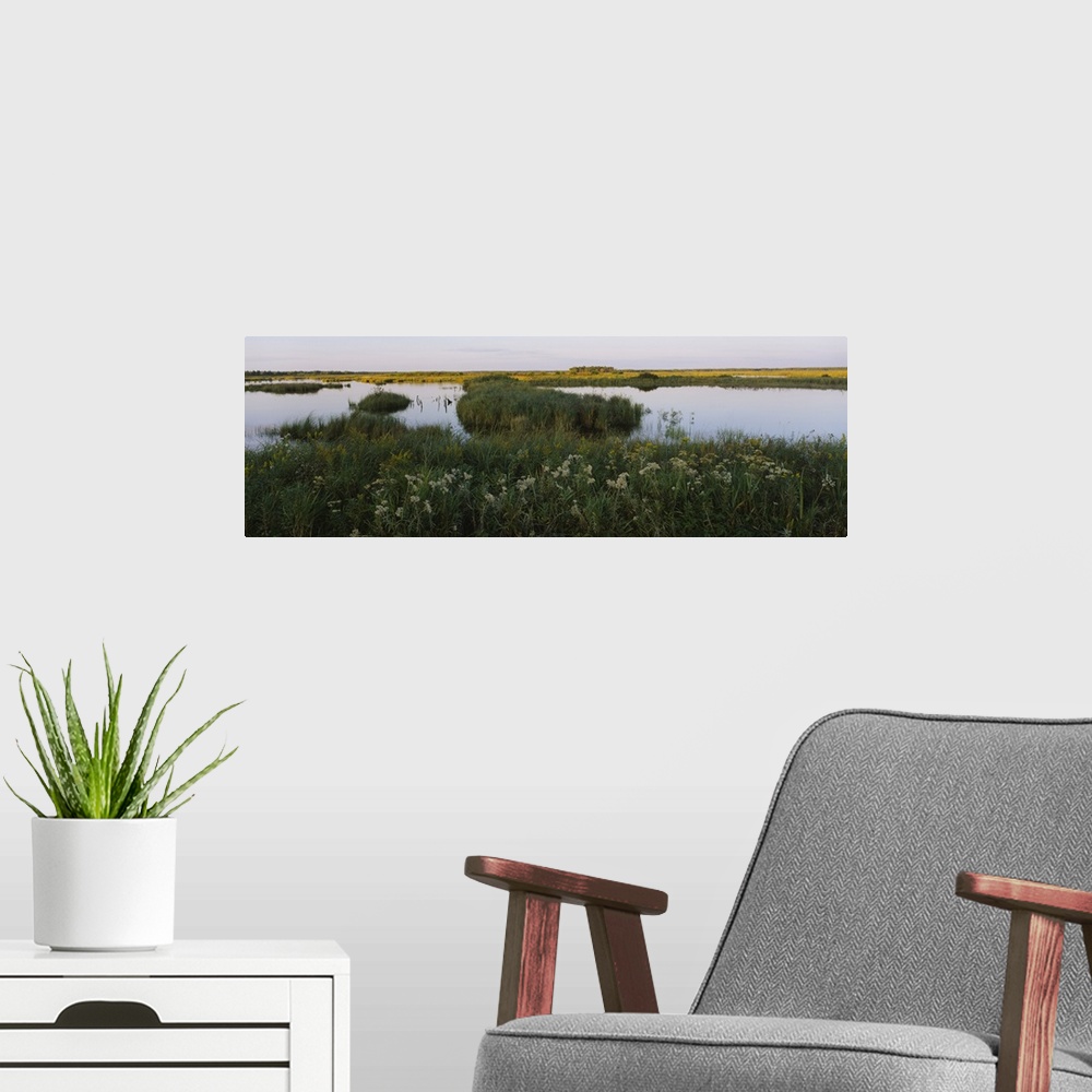 A modern room featuring Tall grass along a pond on a landscape, Crex Meadows Wildlife Refuge, Wisconsin