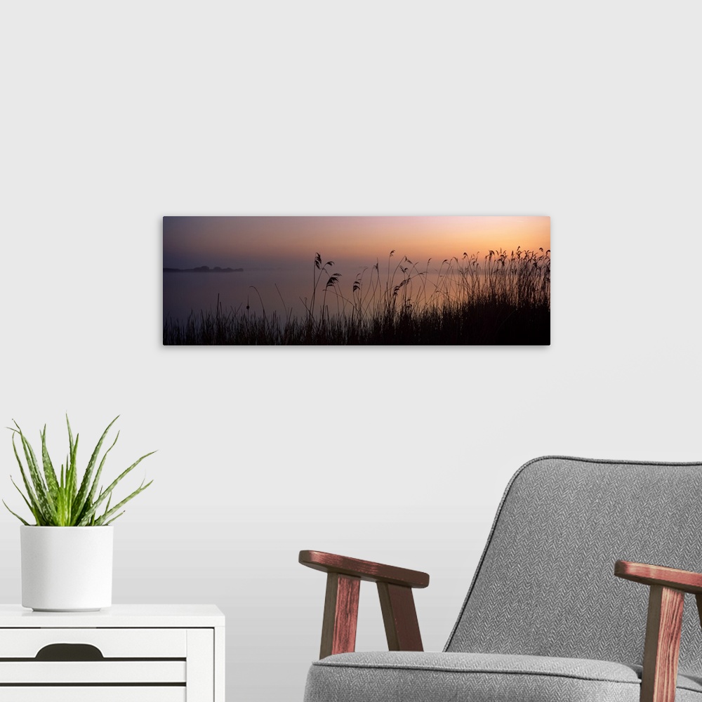 A modern room featuring Tall grass at the lakeside at sunset Denge Marsh Dungeness Kent England