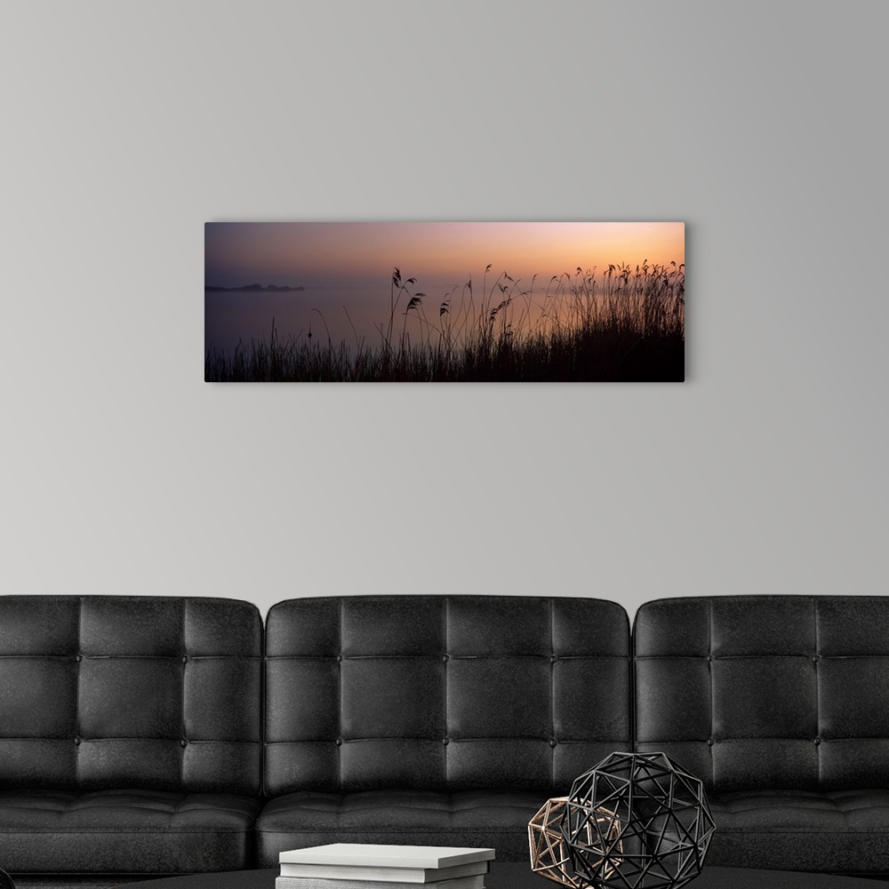 A modern room featuring Tall grass at the lakeside at sunset Denge Marsh Dungeness Kent England