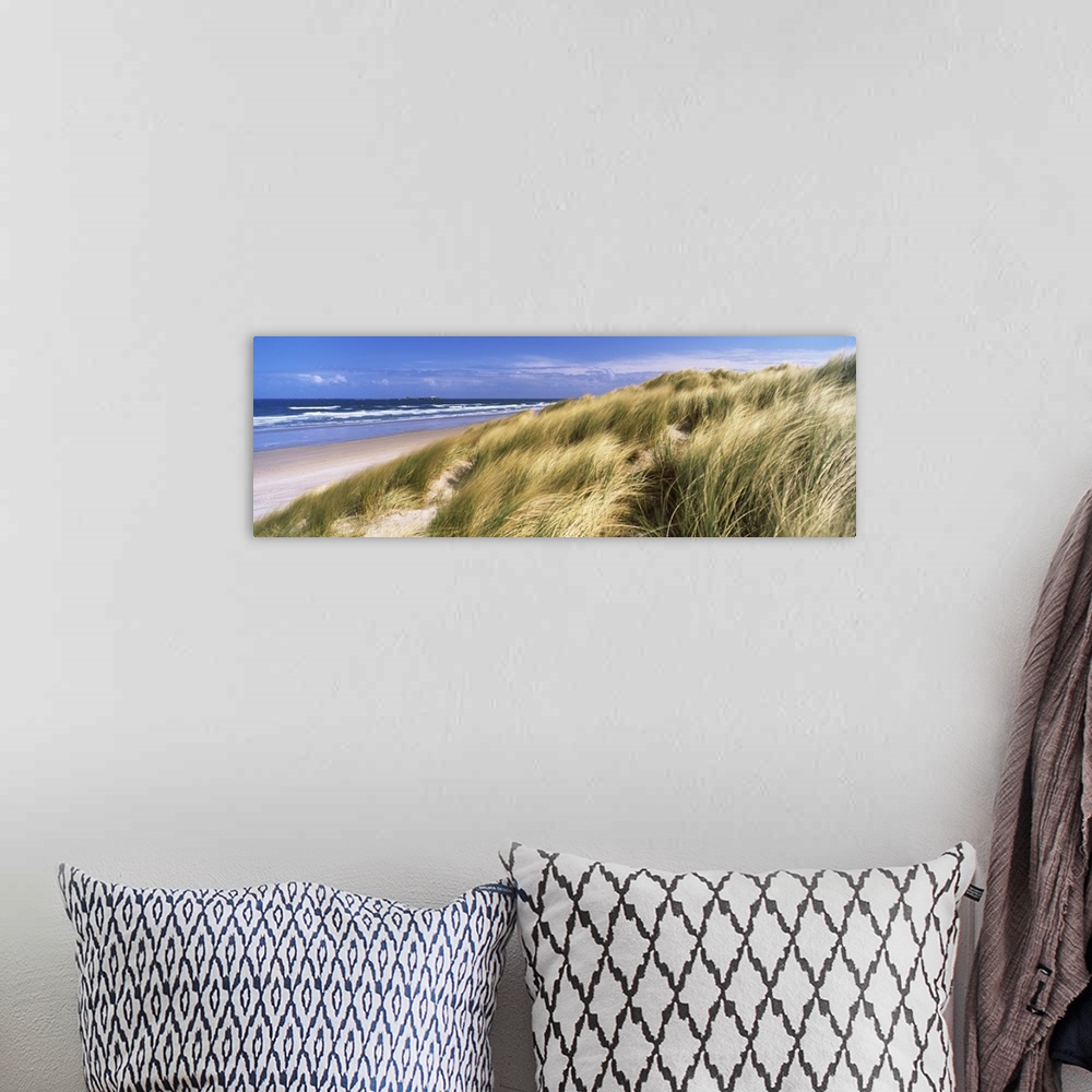 A bohemian room featuring Panoramic photograph of grass covered dunes along beach with ocean in the distance under a cloudy...