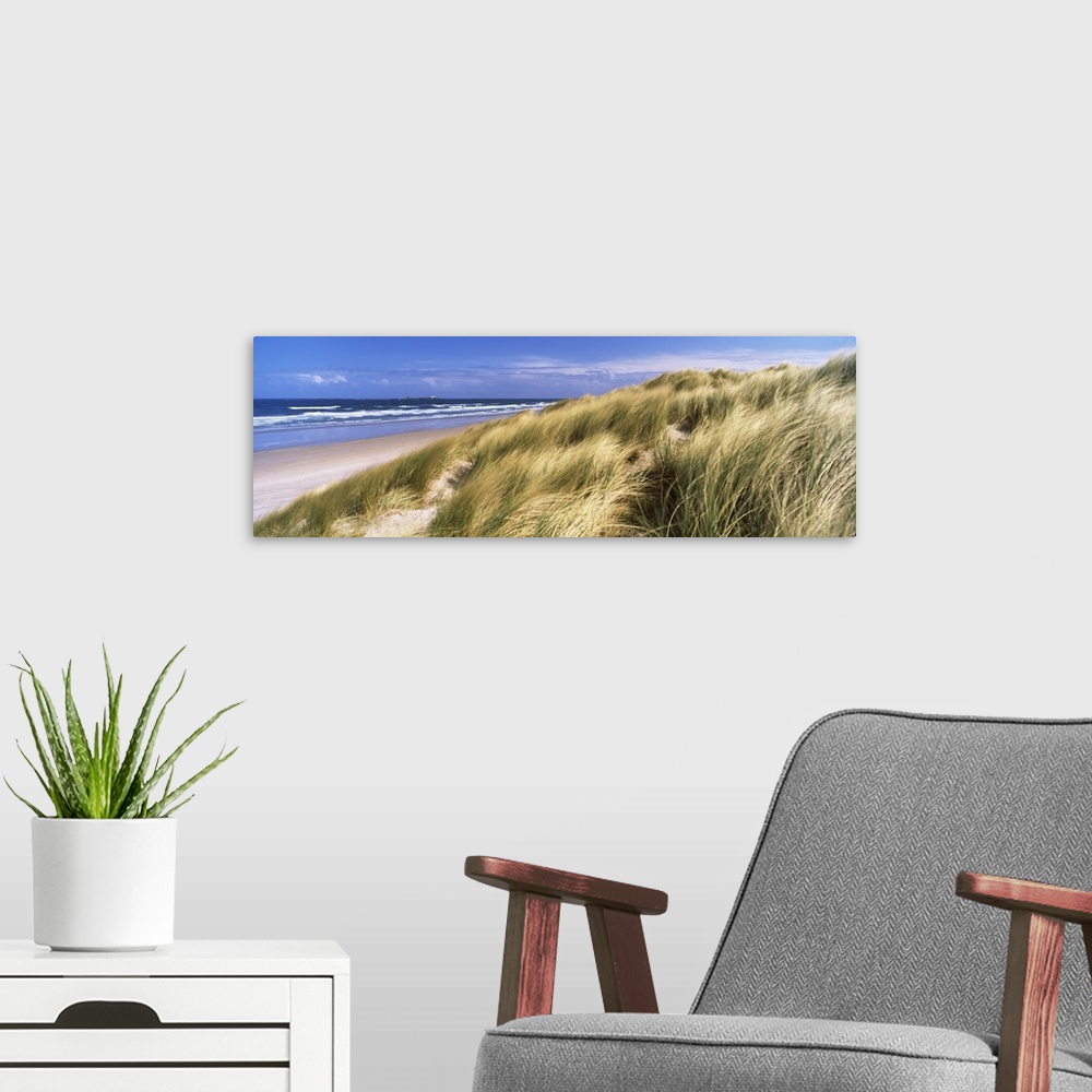 A modern room featuring Panoramic photograph of grass covered dunes along beach with ocean in the distance under a cloudy...
