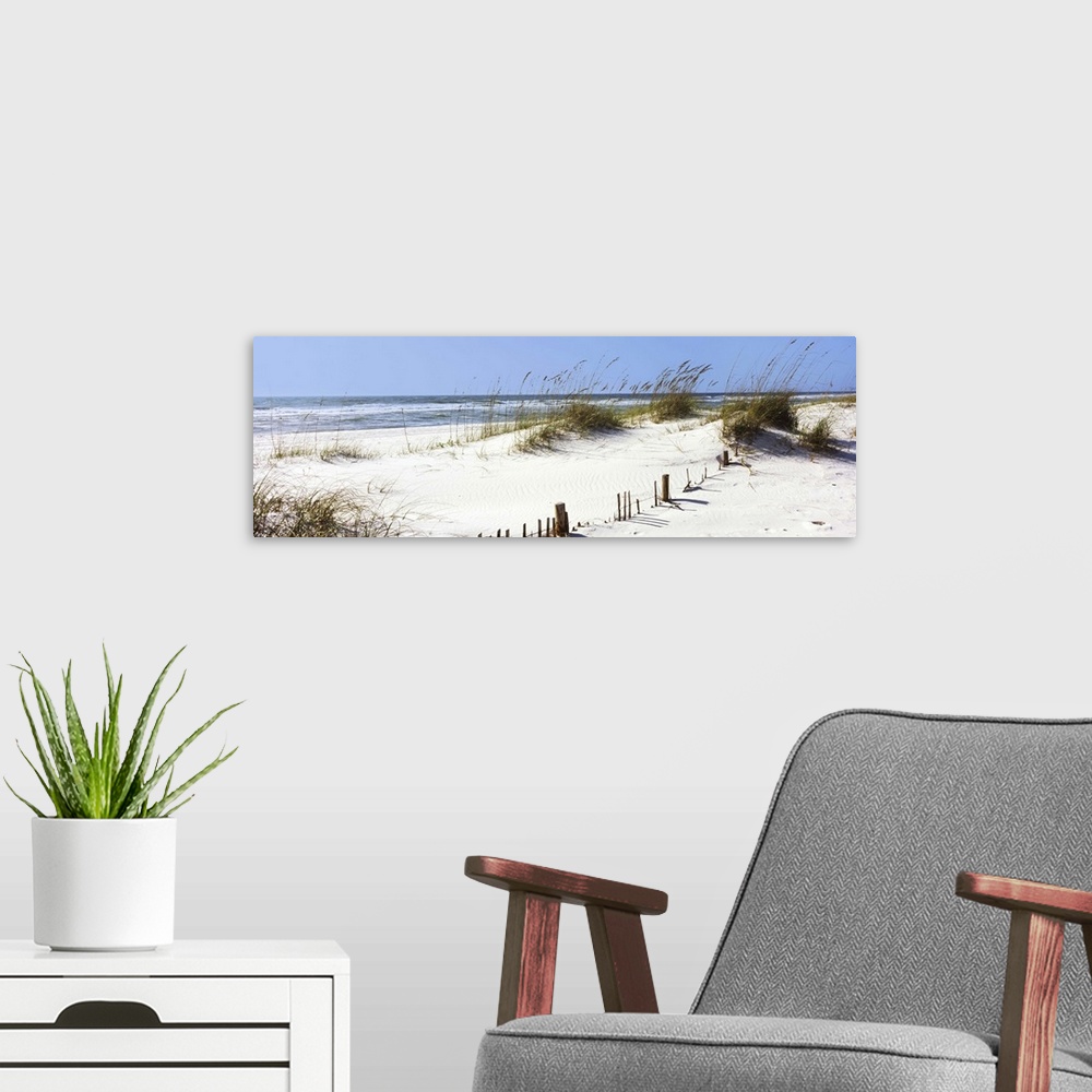 A modern room featuring Tall grass on the beach, Gulf Islands National Seashore, Pensacola, Florida II