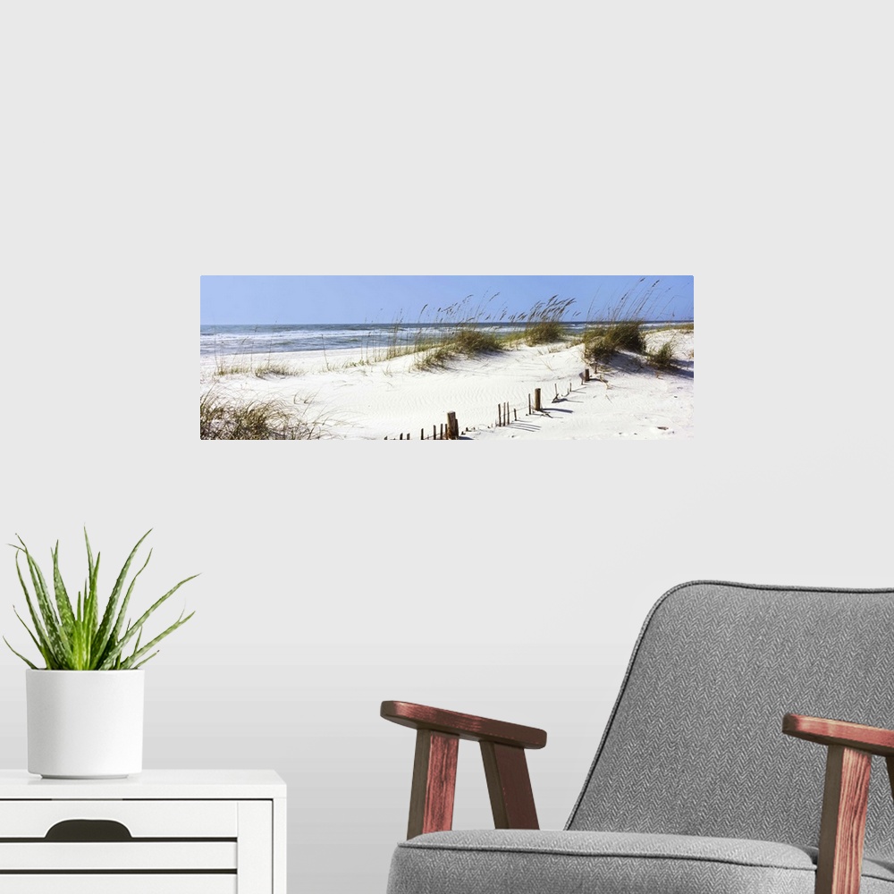 A modern room featuring Tall grass on the beach, Gulf Islands National Seashore, Pensacola, Florida II