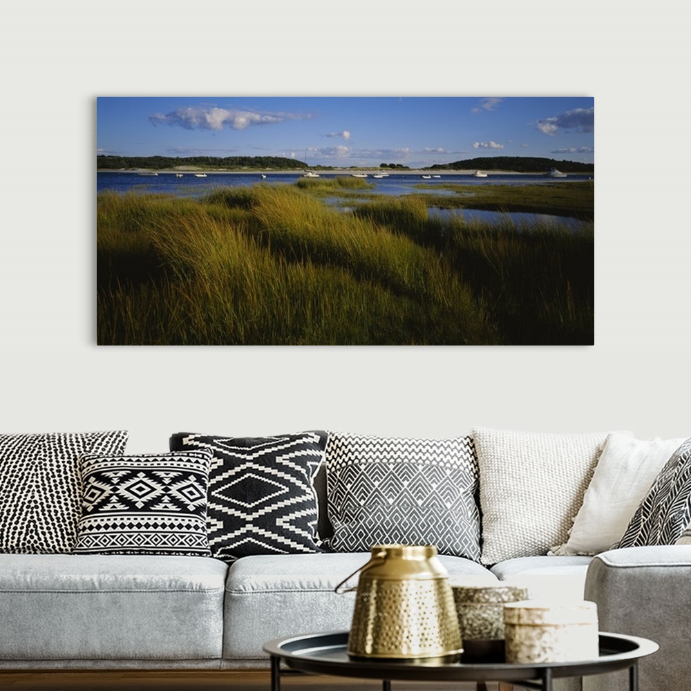 A bohemian room featuring This is a landscape photograph of sea grass growing in the marshes and wet lands around the harbor.