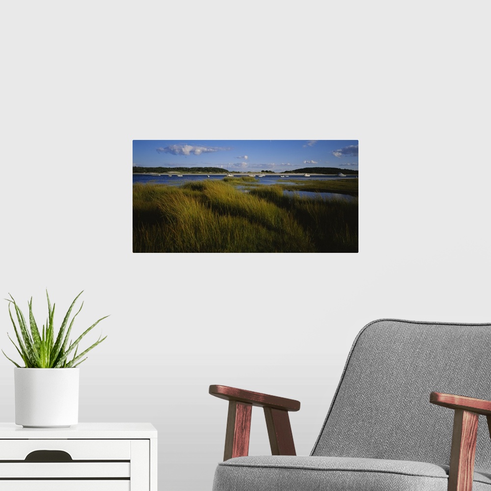 A modern room featuring This is a landscape photograph of sea grass growing in the marshes and wet lands around the harbor.
