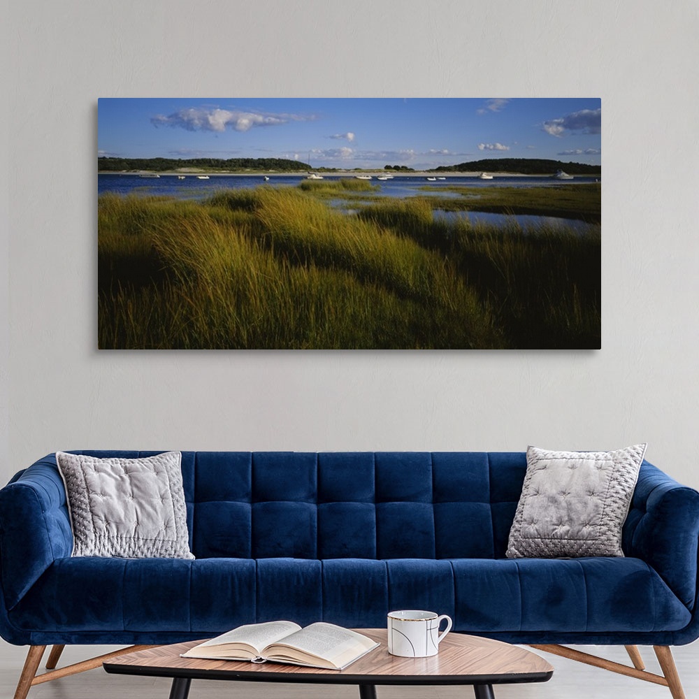 A modern room featuring This is a landscape photograph of sea grass growing in the marshes and wet lands around the harbor.