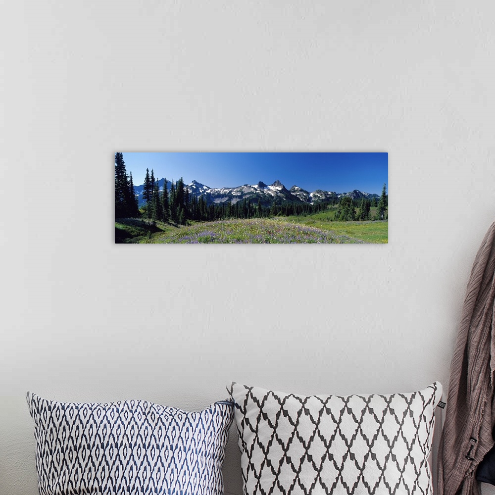 A bohemian room featuring Tatoosh Range Mount Rainier National Park WA