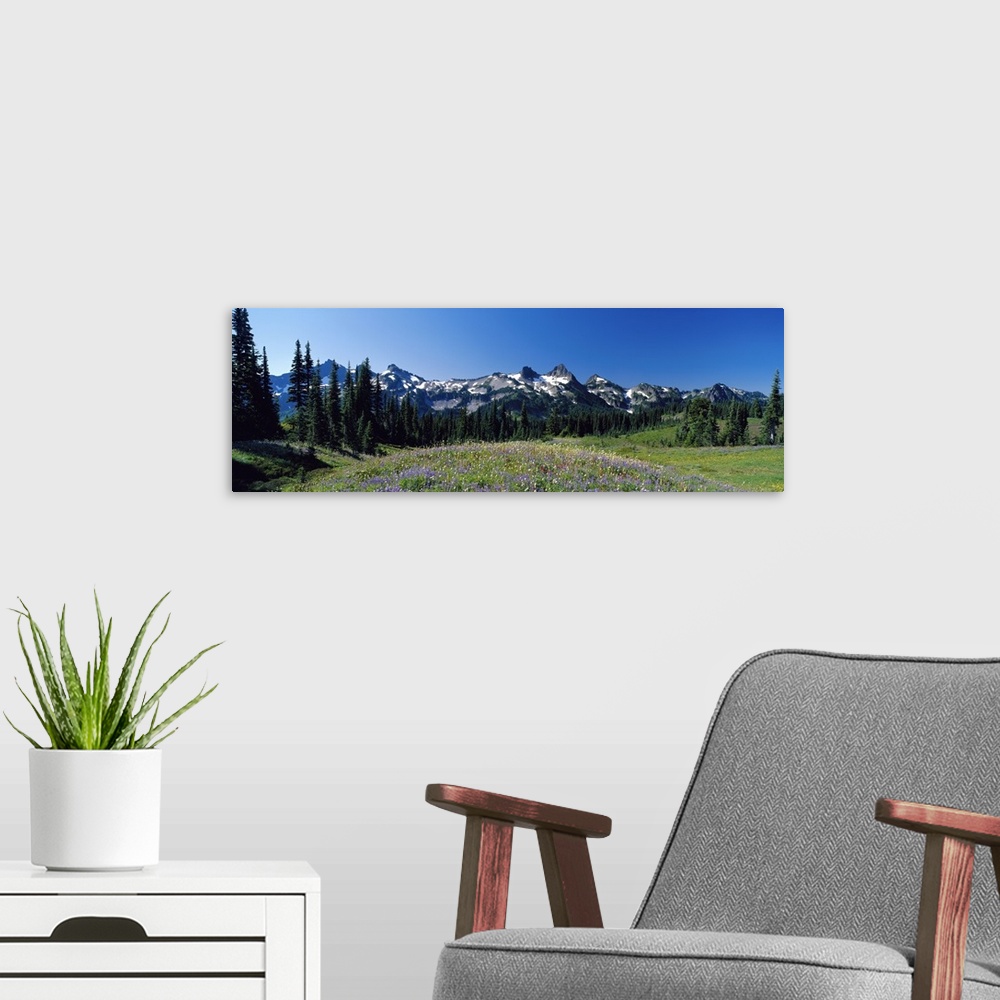 A modern room featuring Tatoosh Range Mount Rainier National Park WA