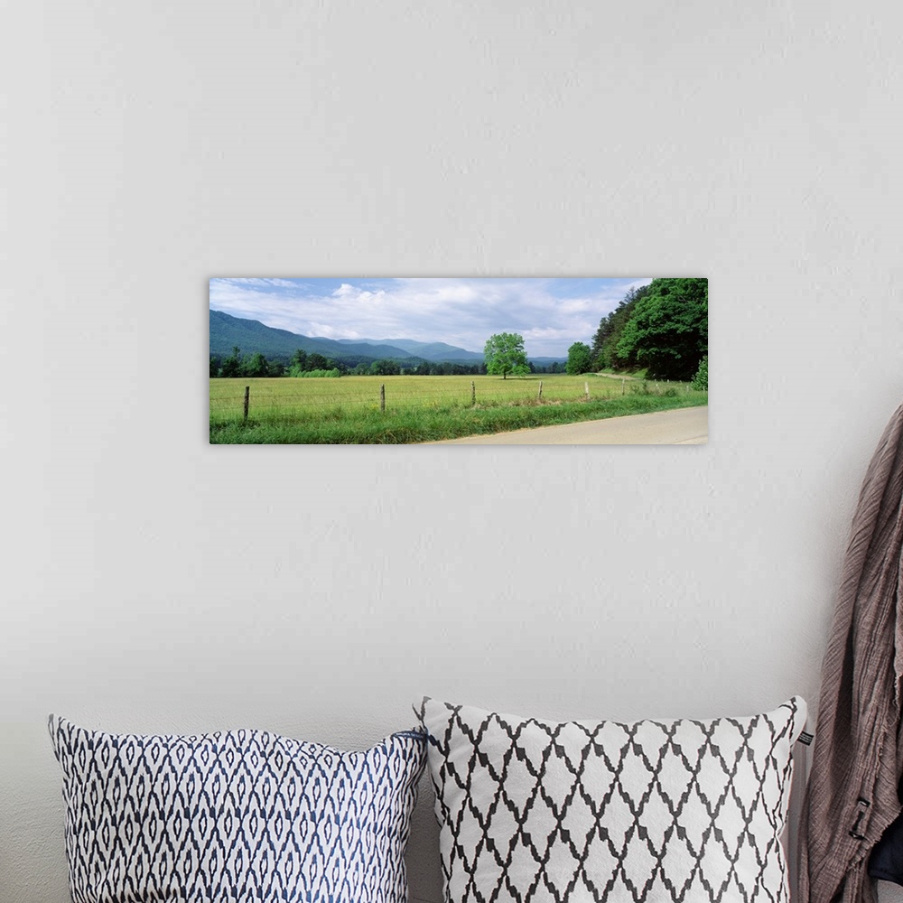 A bohemian room featuring Tennessee, Great Smoky Mountains National Park, Cades Cove, Road along a grass field