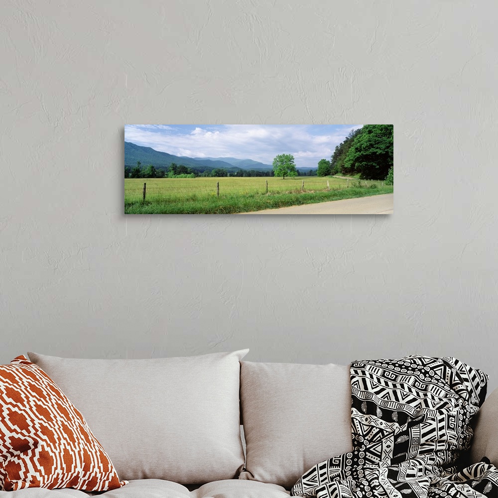 A bohemian room featuring Tennessee, Great Smoky Mountains National Park, Cades Cove, Road along a grass field