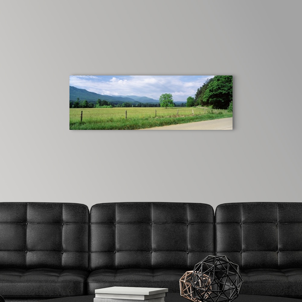A modern room featuring Tennessee, Great Smoky Mountains National Park, Cades Cove, Road along a grass field