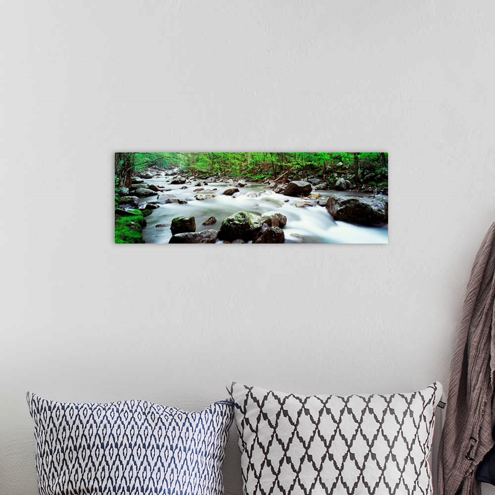 A bohemian room featuring Time lapsed photograph of a water running through a rock filled steam in the woods in this panora...