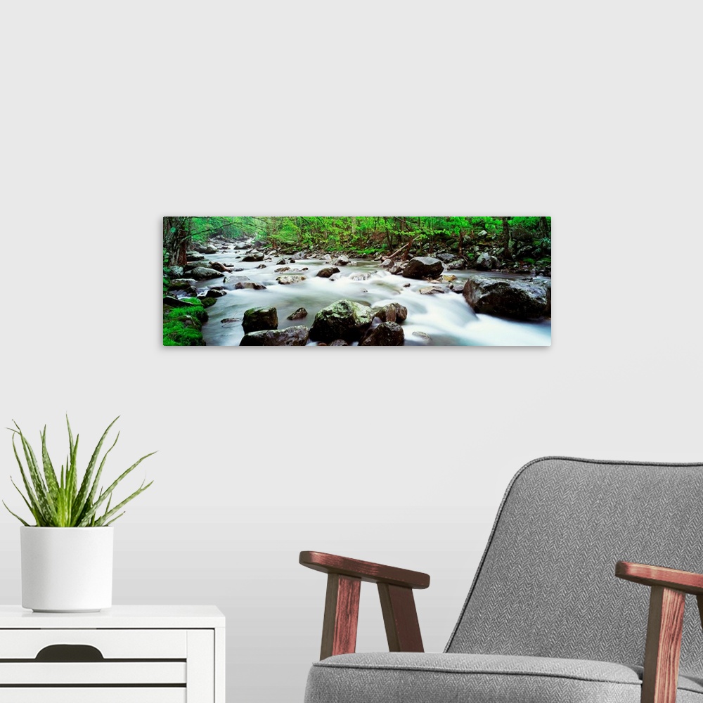 A modern room featuring Time lapsed photograph of a water running through a rock filled steam in the woods in this panora...