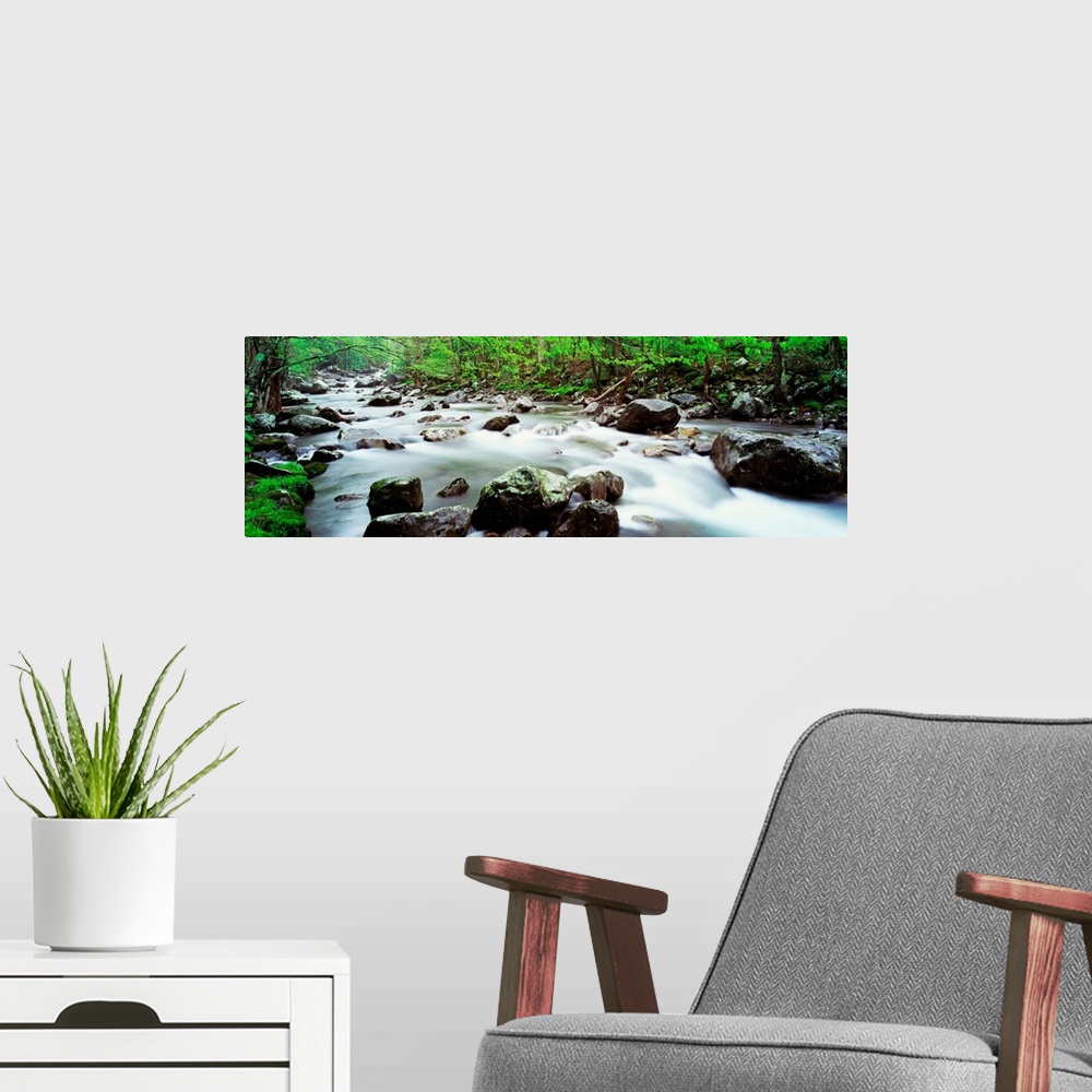 A modern room featuring Time lapsed photograph of a water running through a rock filled steam in the woods in this panora...