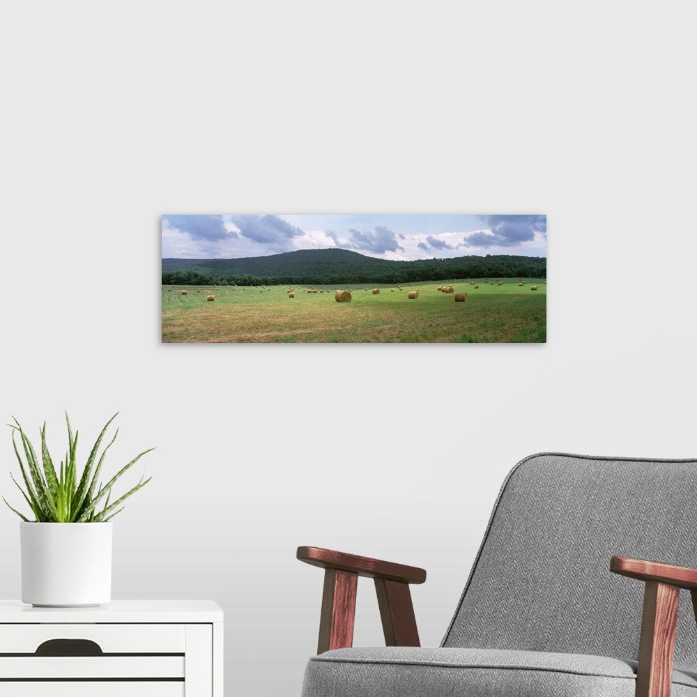 A modern room featuring Tennessee, Warren County, Hay bales in the farmland