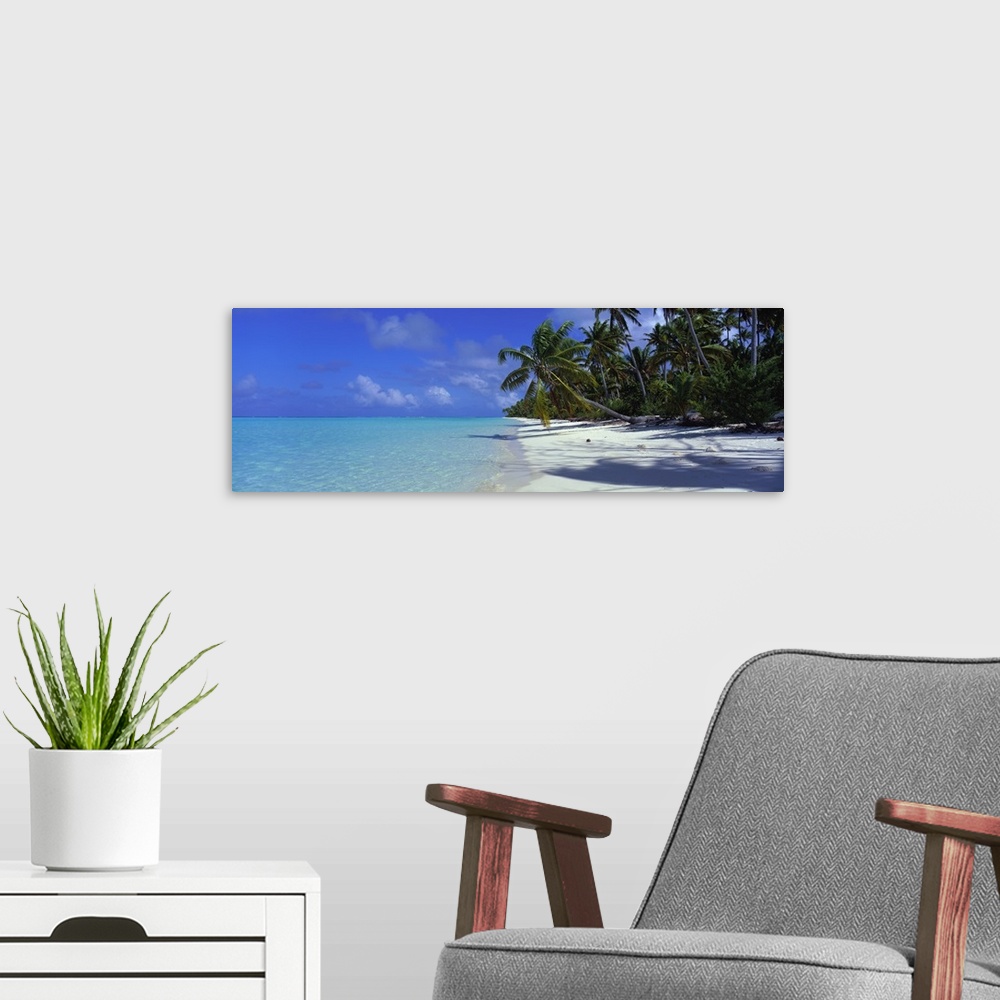 A modern room featuring Big panoramic photo of palm trees on a white sand beach with the water trickling onto the shore i...