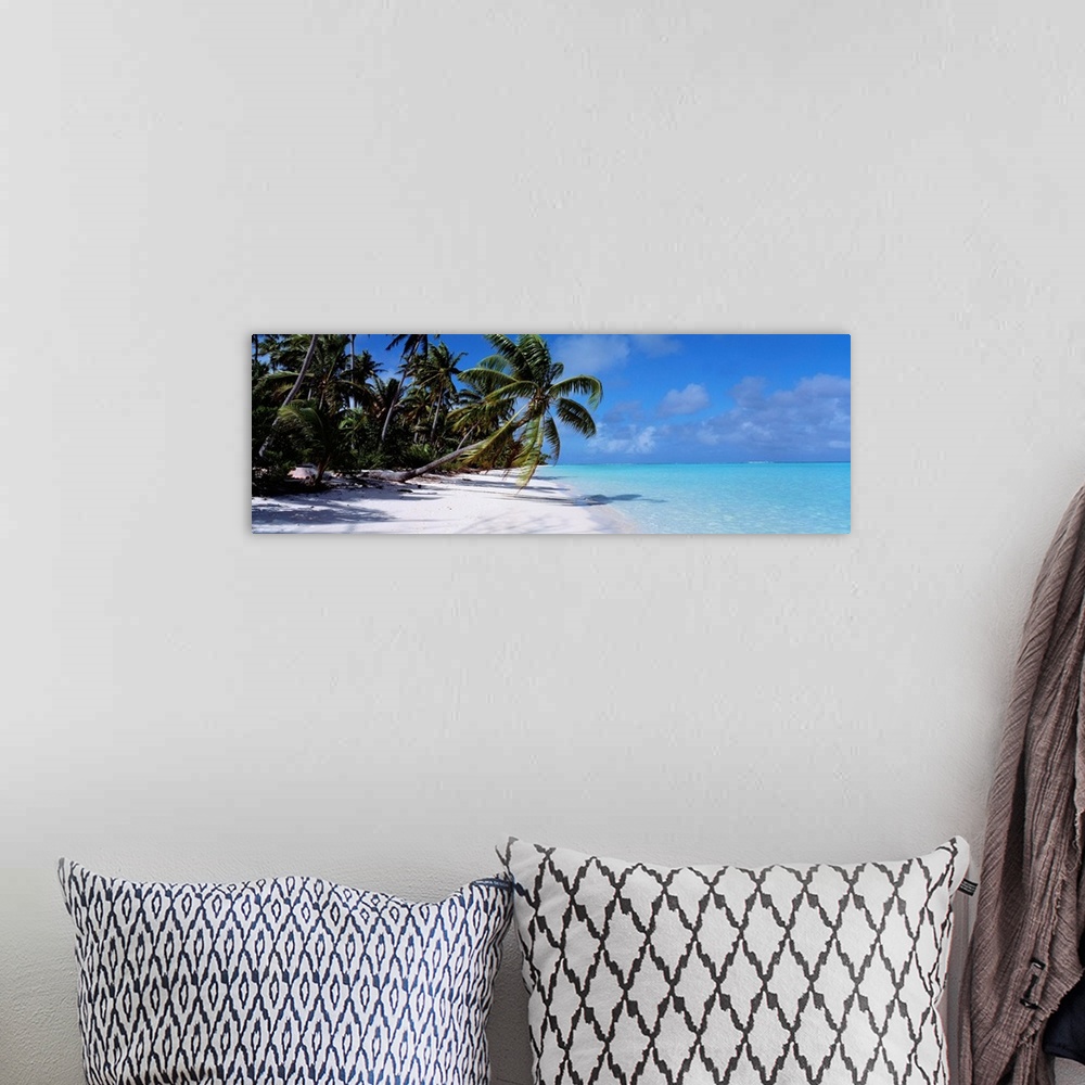 A bohemian room featuring Panoramic photograph of shoreline covered with palm trees under a cloudy sky.