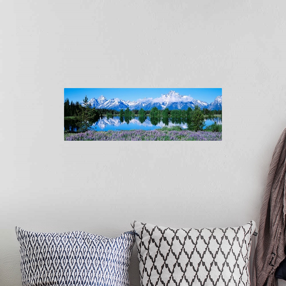 A bohemian room featuring This panoramic landscape photograph shows wildflowers growing around a lake that reflects the tre...