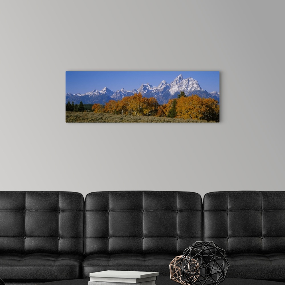 A modern room featuring Teton Range Grand Teton National Park WY