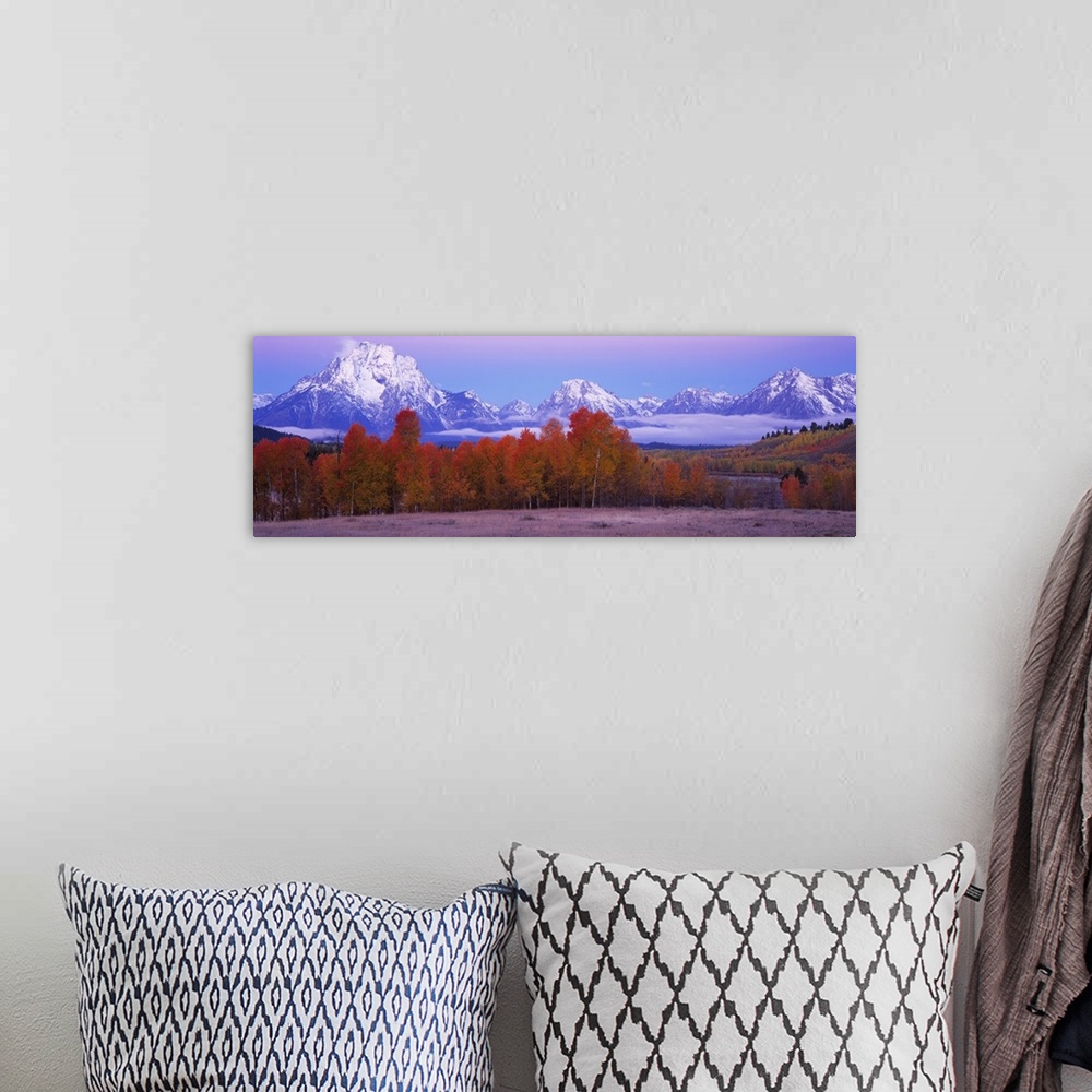A bohemian room featuring Panoramic photograph of forest covered in fall leaves with snow covered mountains in the distance.