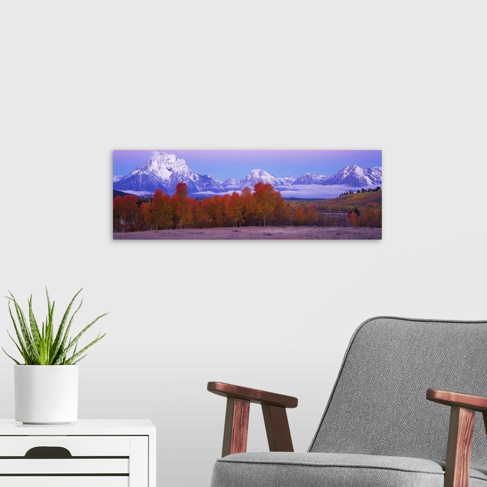 A modern room featuring Panoramic photograph of forest covered in fall leaves with snow covered mountains in the distance.