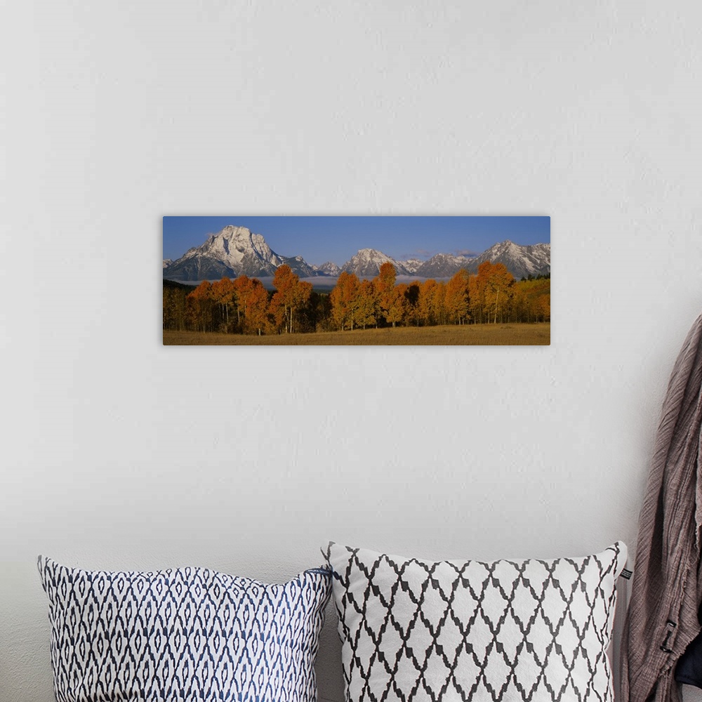 A bohemian room featuring Photograph taken of immense snow capped mountains with autumn colored trees and a field shown in ...