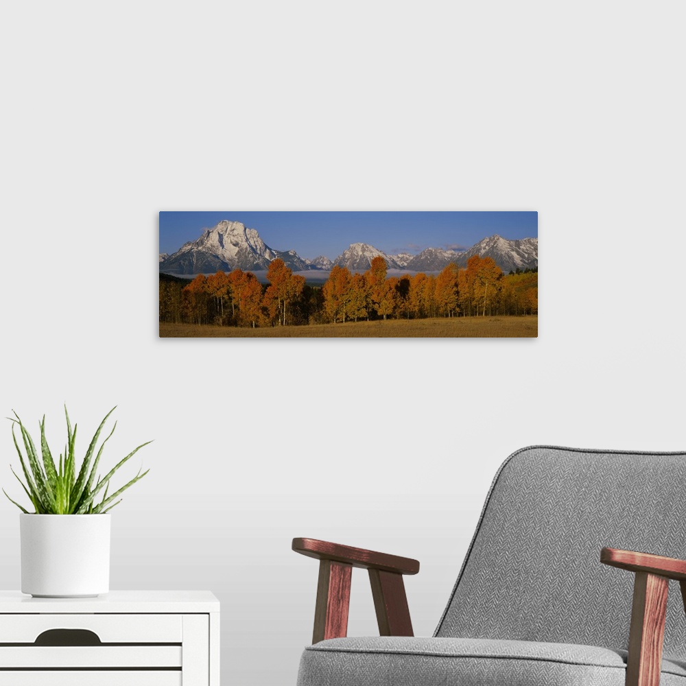 A modern room featuring Photograph taken of immense snow capped mountains with autumn colored trees and a field shown in ...