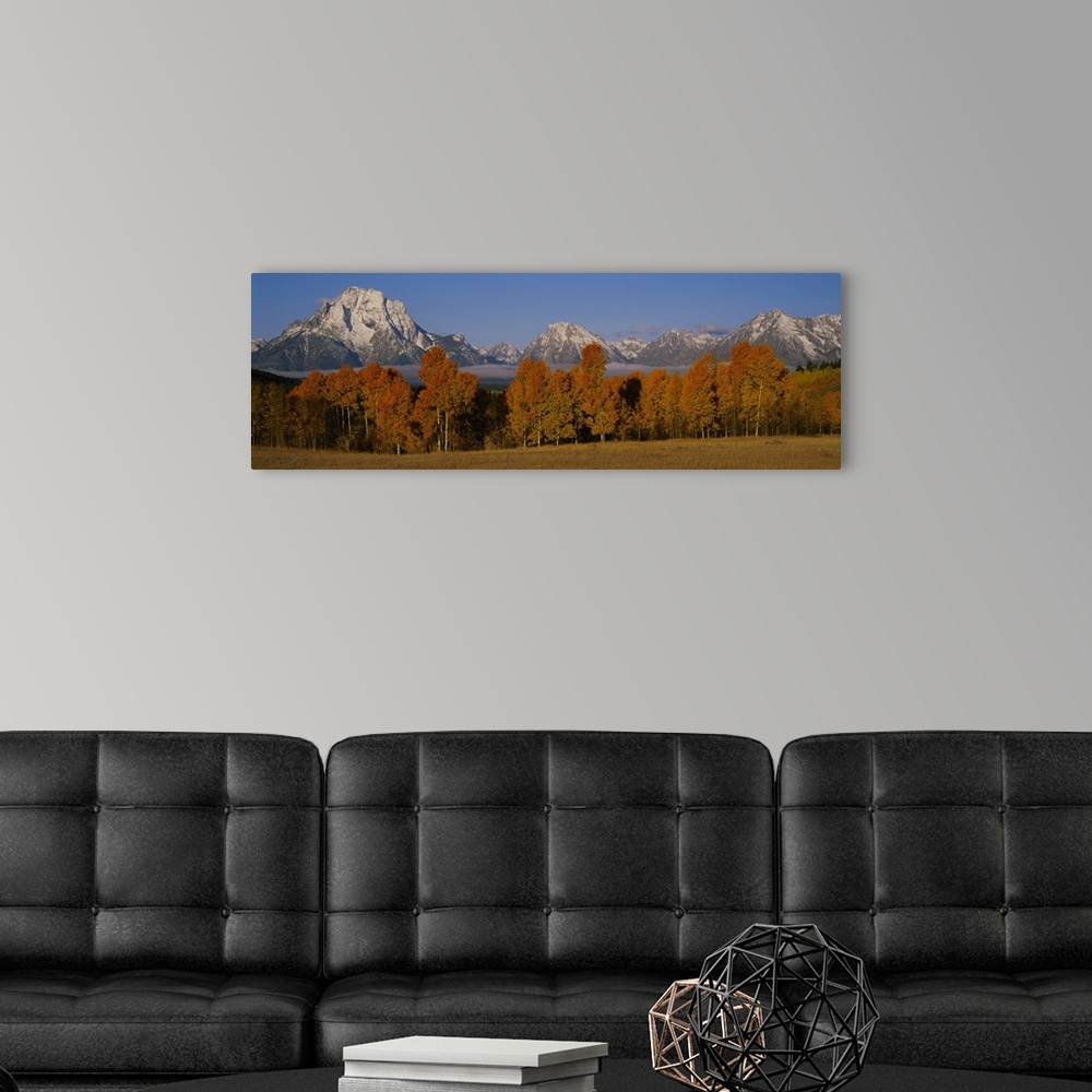 A modern room featuring Photograph taken of immense snow capped mountains with autumn colored trees and a field shown in ...
