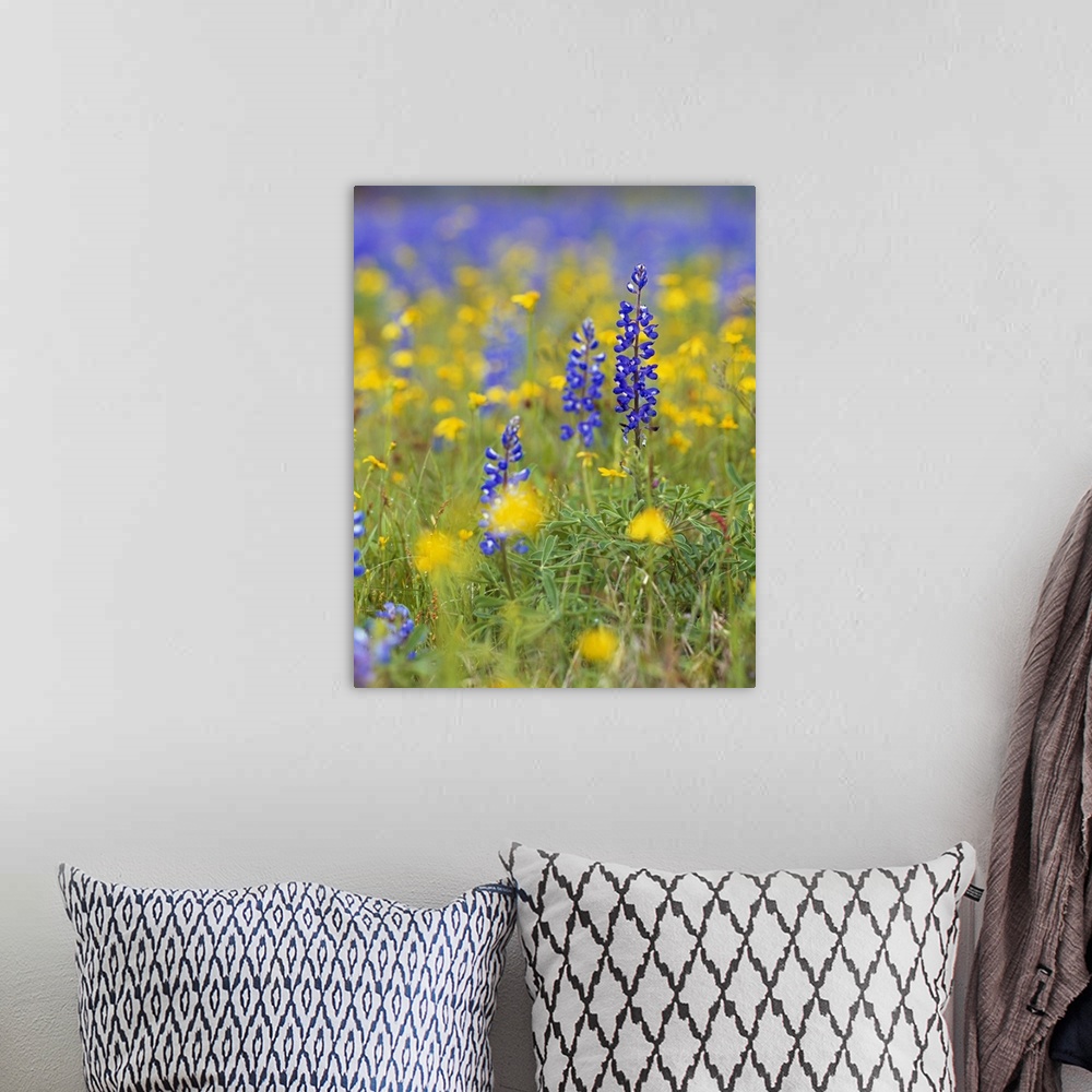 A bohemian room featuring Large, vertical photograph of blue bonnets and wildflowers in a meadow.  One flower in the foregr...