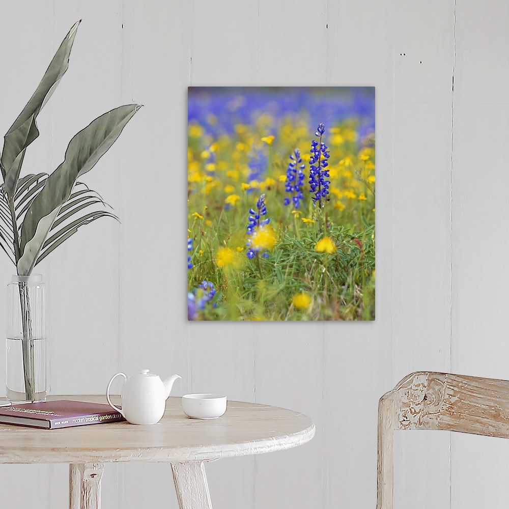 A farmhouse room featuring Large, vertical photograph of blue bonnets and wildflowers in a meadow.  One flower in the foregr...