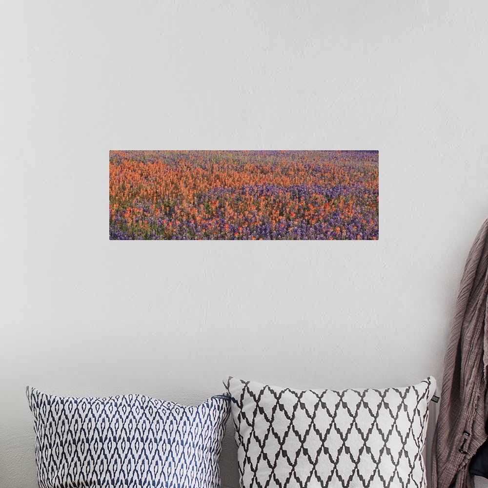A bohemian room featuring Panoramic photograph of colorful wildflower meadow.
