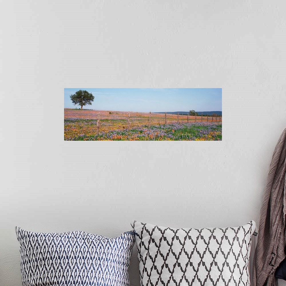 A bohemian room featuring Panoramic photograph displays a large field with endless amounts of colorful flowers that is high...