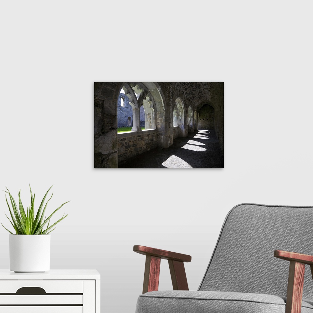 A modern room featuring The Cloisters in Killmallock 12th Century Dominican Friary, Co Limerick, Ireland
