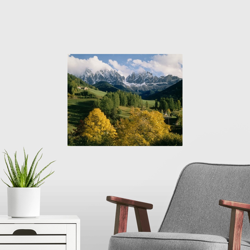 A modern room featuring Big photograph includes an open landscape in Europe filled with scattered trees and a few houses....