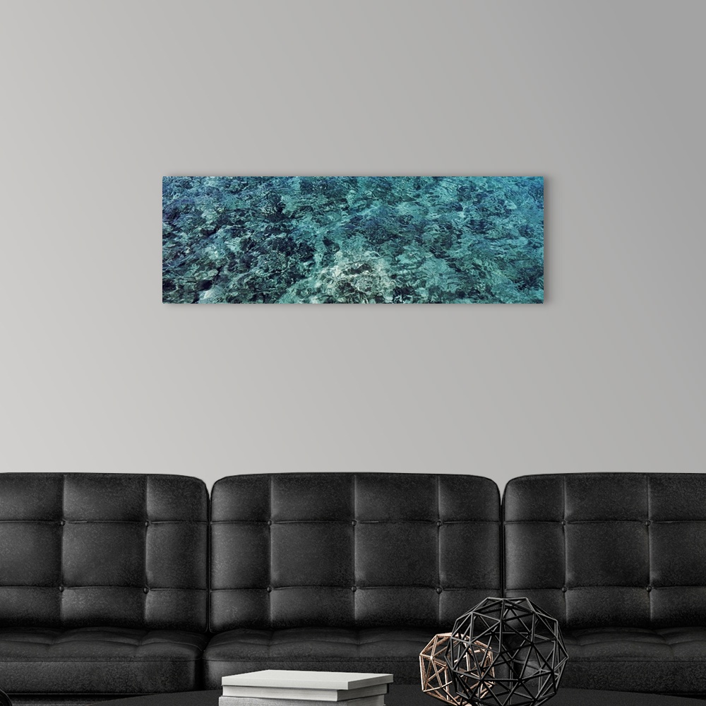 A modern room featuring The sea, Caribbean Sea, Grand Cayman, Cayman Islands