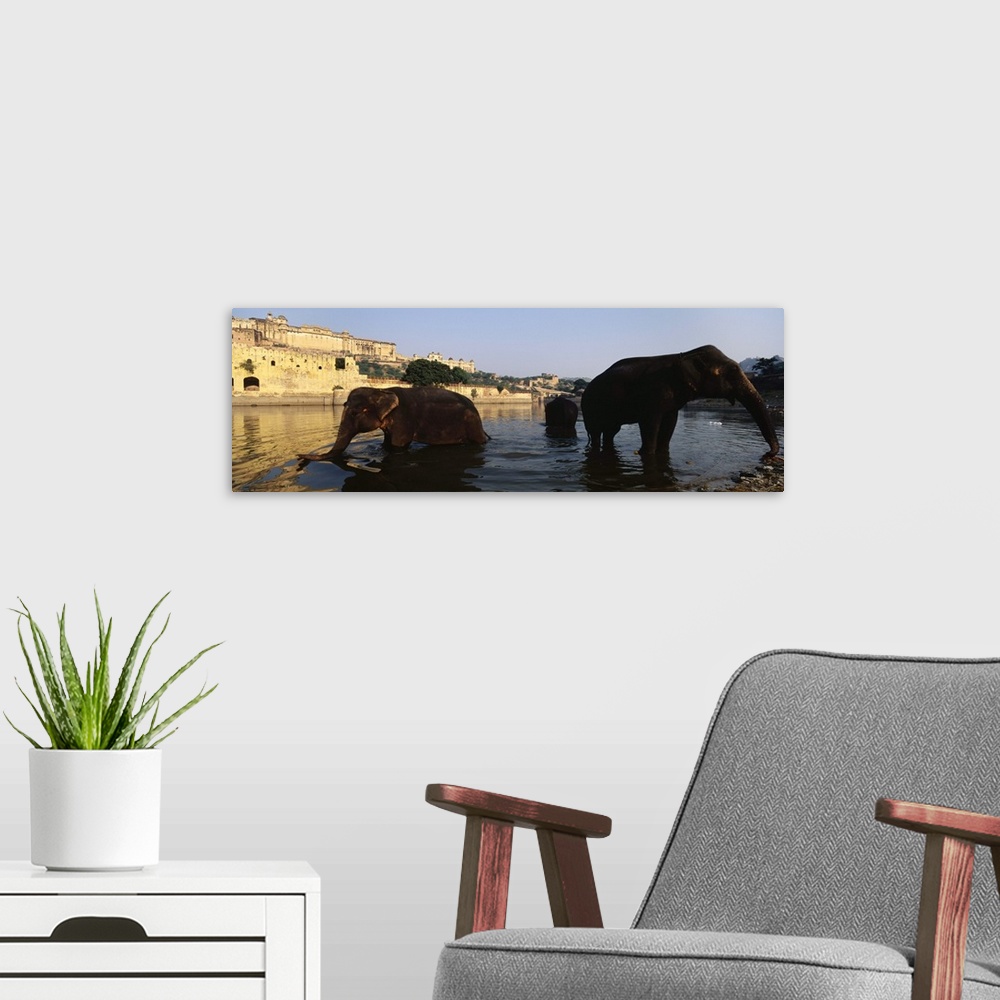 A modern room featuring Three elephants in the river, Amber Fort, Jaipur, Rajasthan, India