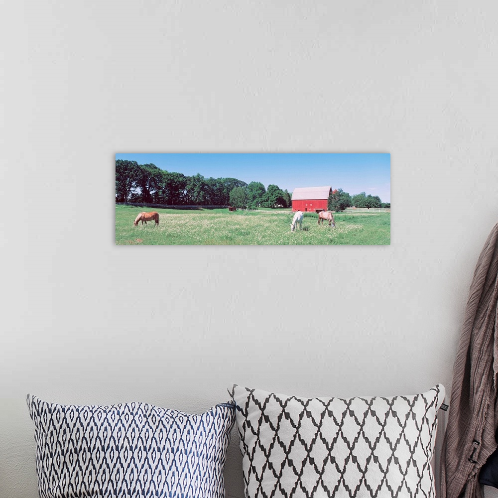 A bohemian room featuring Three horses grazing in a grass field, Kent, Michigan