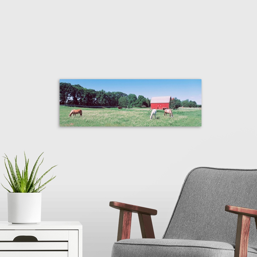 A modern room featuring Three horses grazing in a grass field, Kent, Michigan