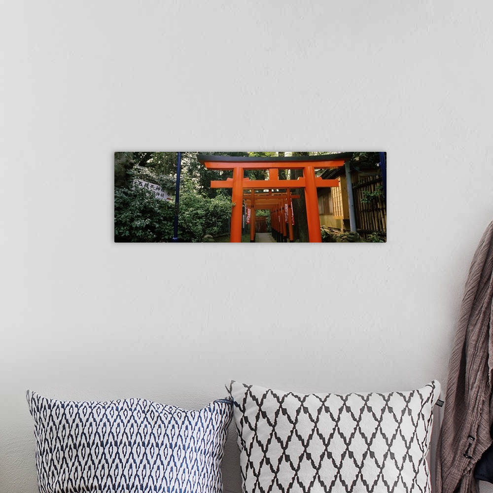 A bohemian room featuring Torii Gates in a park, Ueno Park, Taito, Tokyo Prefecture, Kanto Region, Japan